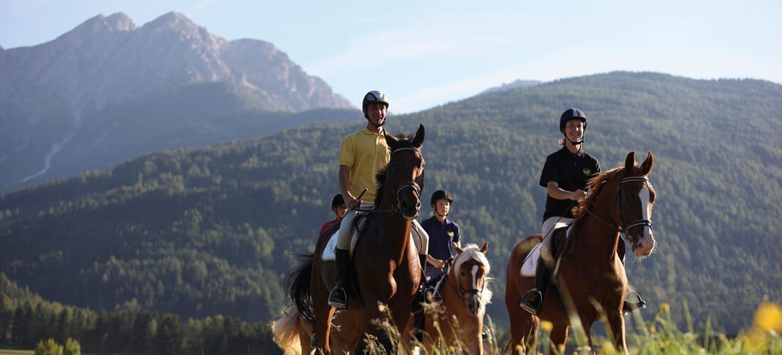 Horse riding – across mountain pastures on Haflingers