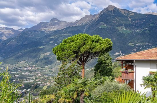 hotel bellevue dorf tirol