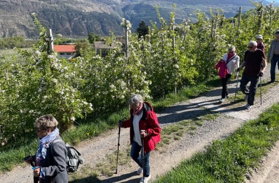 Frühlingswanderung von Tschengels nach Prad, Abstecher in Glurns und Besuch beim Karl in Matsch April 2026
