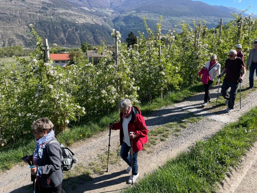 hiking tour from Tschengels to Prad, trip to Glurns and visit Karl on Matsch april 2026