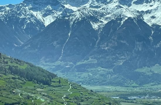 IMG-20260423-WA0010