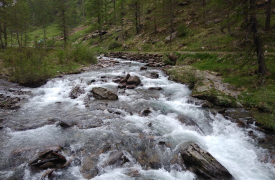 IMG_20170601_123028
