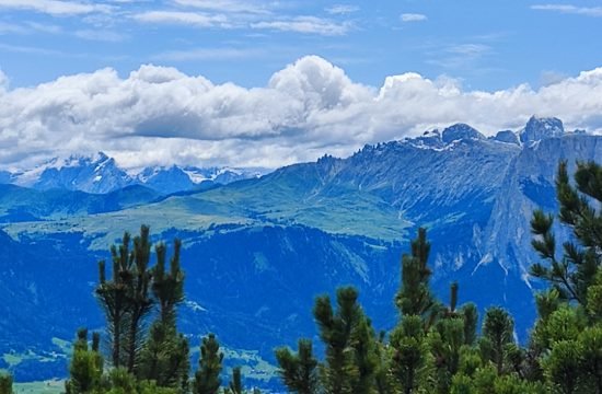 Hauswanderung zum Rittnerhorn: Juli 2025