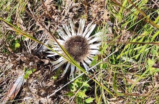 IMG_20250819_125051