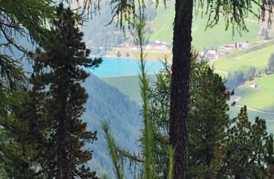 IMG_20250819_150505