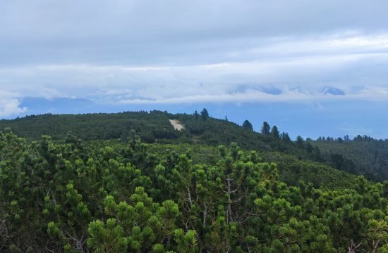 Hauswanderung auf den Ritten September 2025