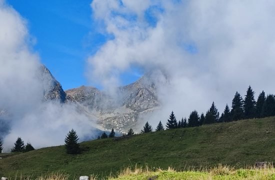 IMG_20250916_102536