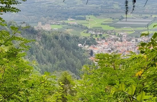 IMG_20250923_115544