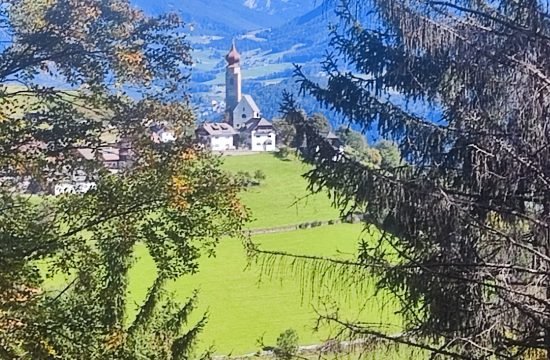 IMG_20251007_124707