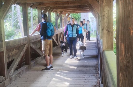 IMG_20251007_130125
