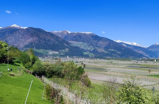 IMG_20260422_100024
