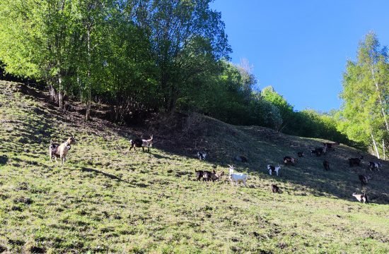 IMG_20260422_100634