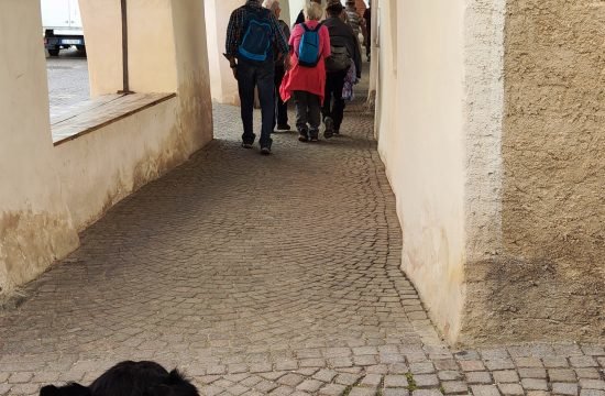 IMG_20260422_121033