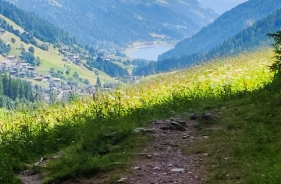 IMG_20260617_105645