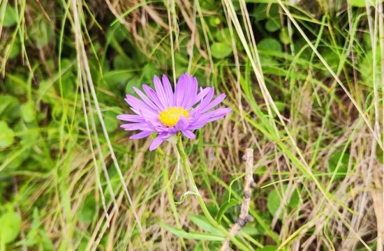 IMG_20260707_105539