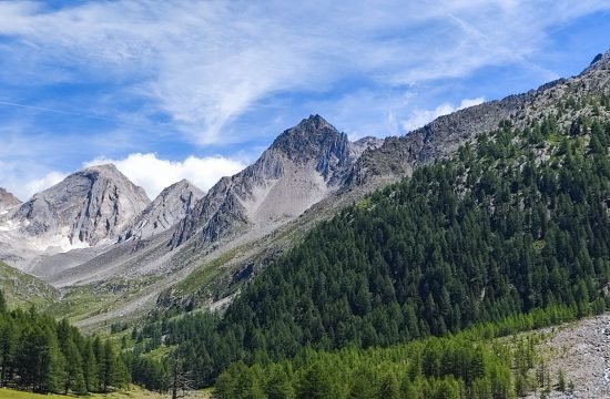 IMG_20260707_133837