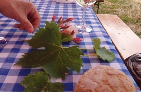 Kaltern mit Besuch beim Weinbauern Juni 2021