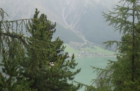 Wanderung zur urigen Bergalm August 2023