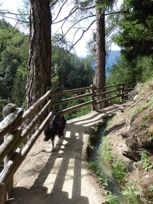 roccia di Sluderno agosto 2021