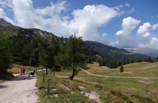 Wanderung im schönen Ultental September 2021