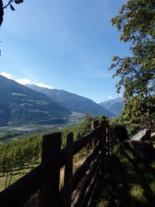 roccia di Val Senales settembre 2021