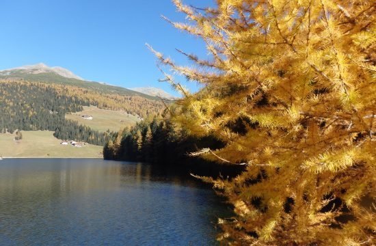 Wanderung Sarntal Oktober 2021