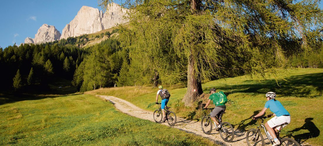 Biking holiday in the Vinschgau valley - a first-class biking region