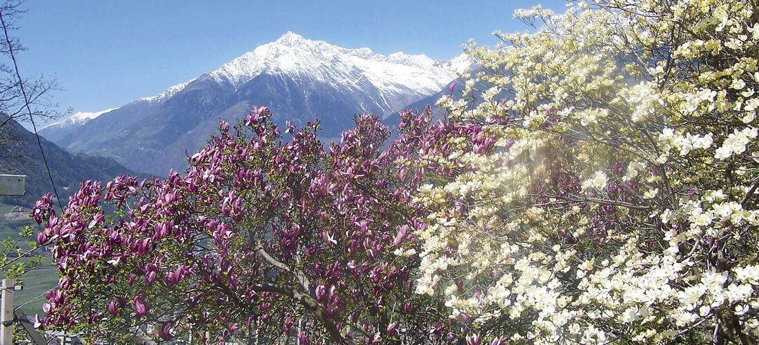 Uw centraal gelegen wandelhotel bij Meran - breng je wandelvakantie door rond Dorf Tirol